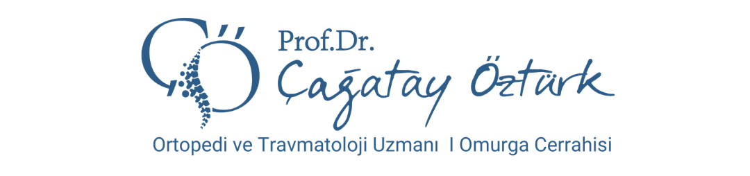 Prof. Dr. Çağatay Öztürk